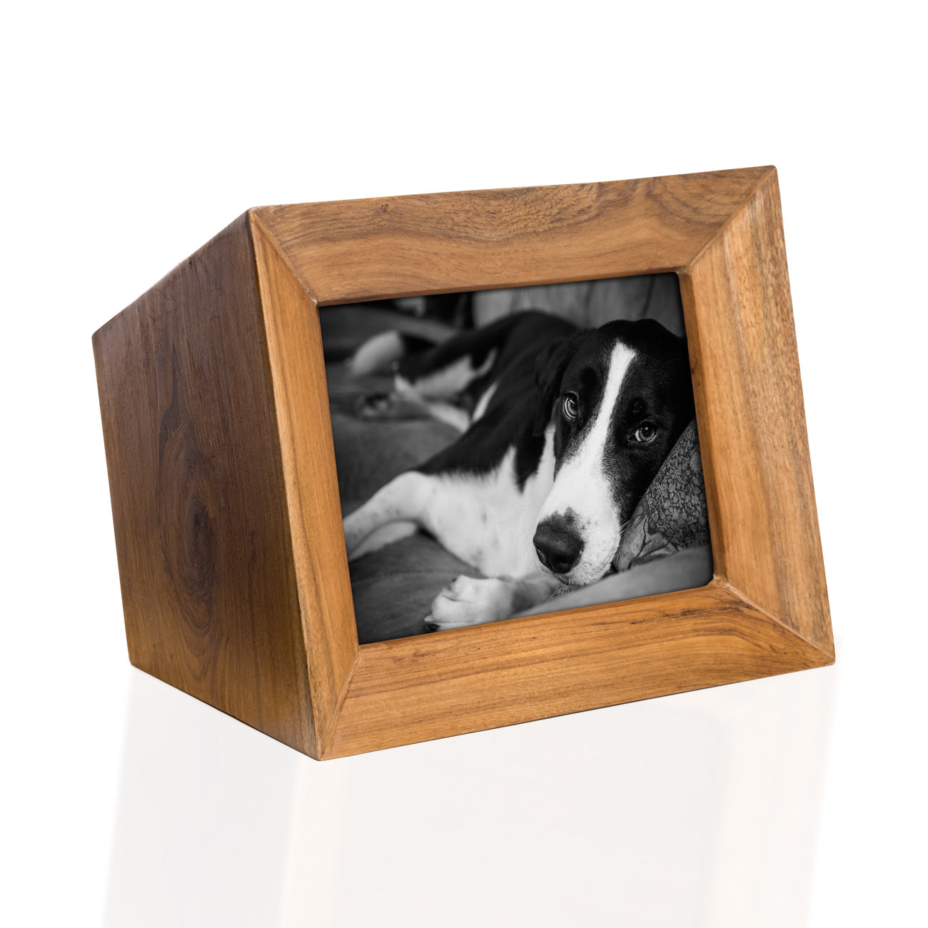 Pet Urns